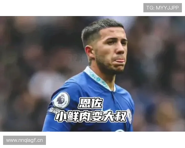 恩佐·费尔南德斯：亿元身价是否合理？关键数据与比赛影响解析